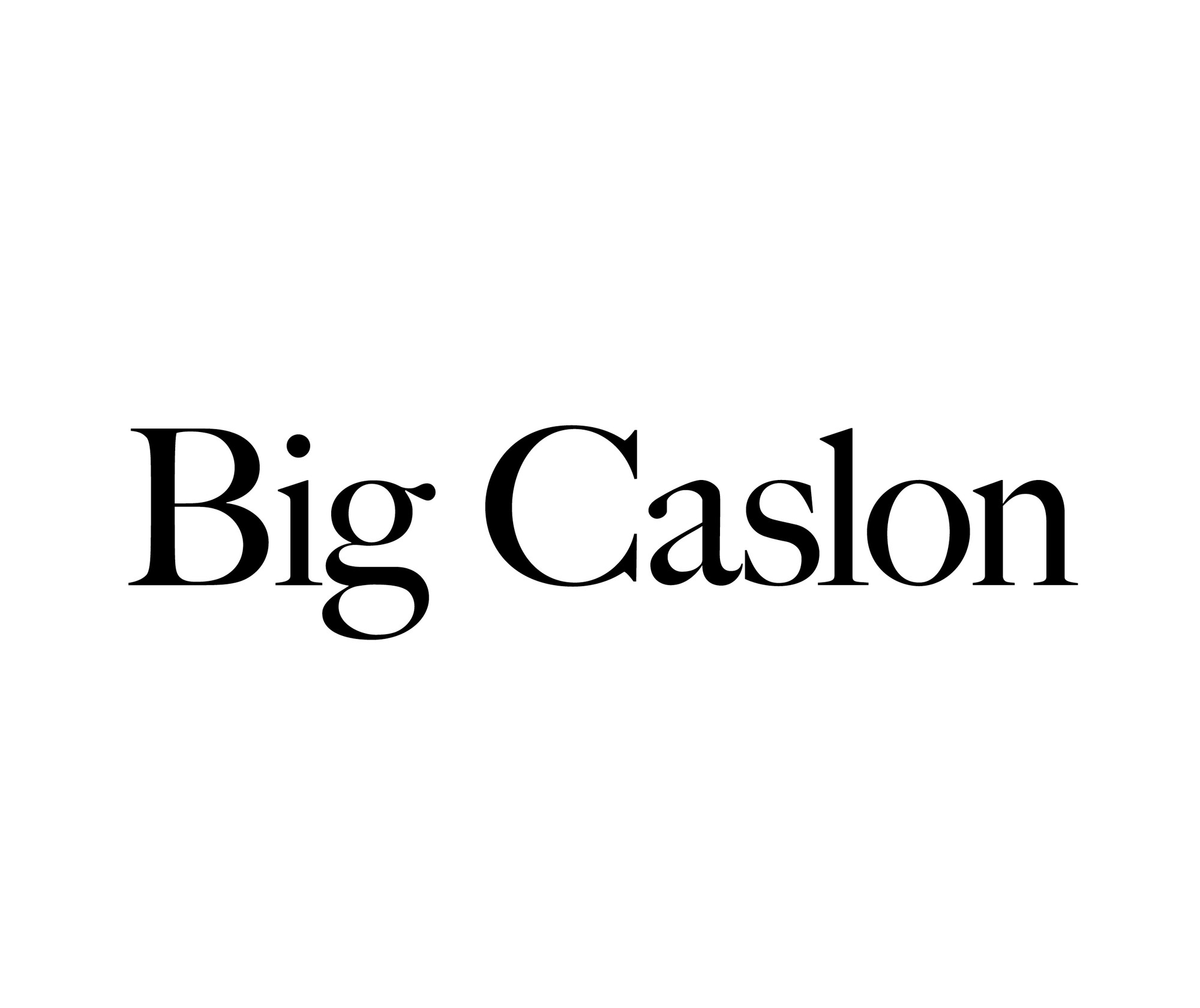 Przykład czcionki Big Caslon