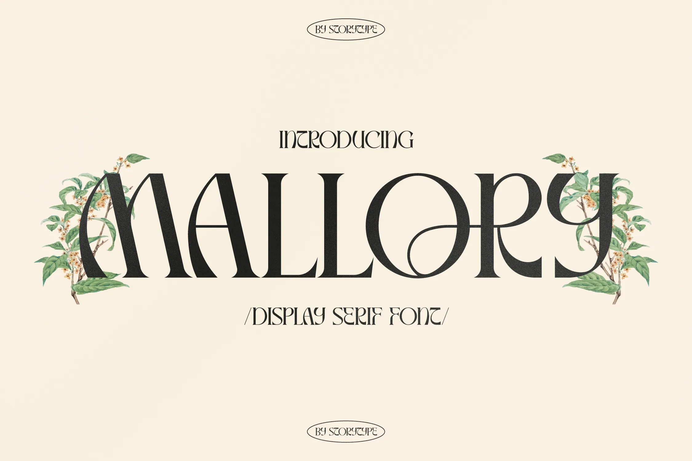Przykład czcionki Mallory Display Serif