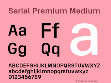 Przykład czcionki Serial Premium Light Italic