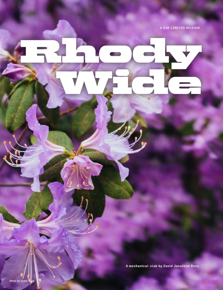 Przykład czcionki Rhody Wide Regular