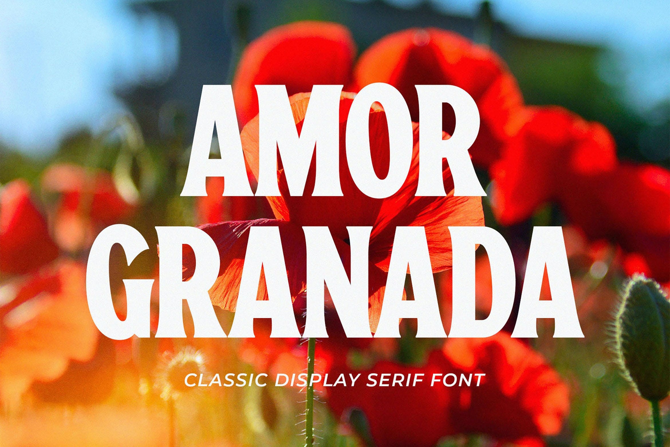 Przykład czcionki Amor Granada Regular