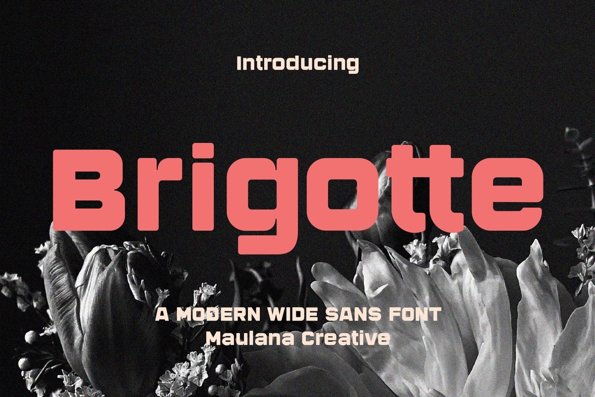 Przykład czcionki Brigotte