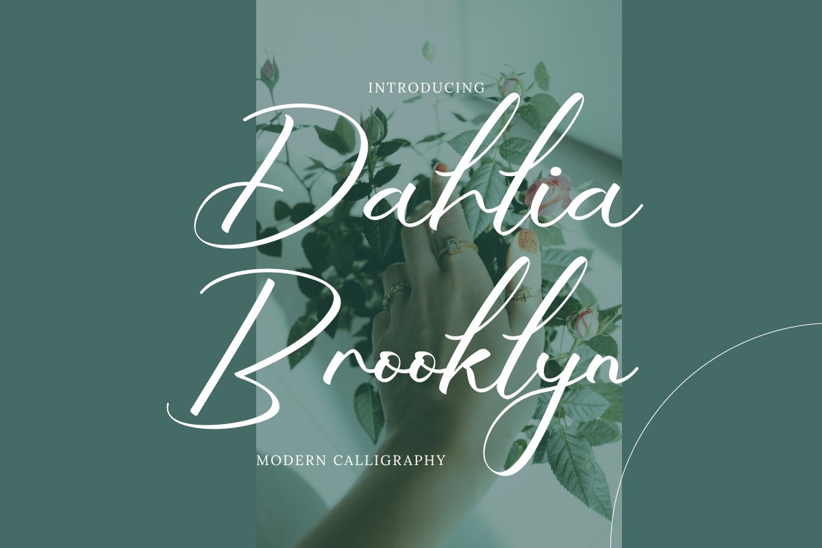 Przykład czcionki Dahlia Brooklyn