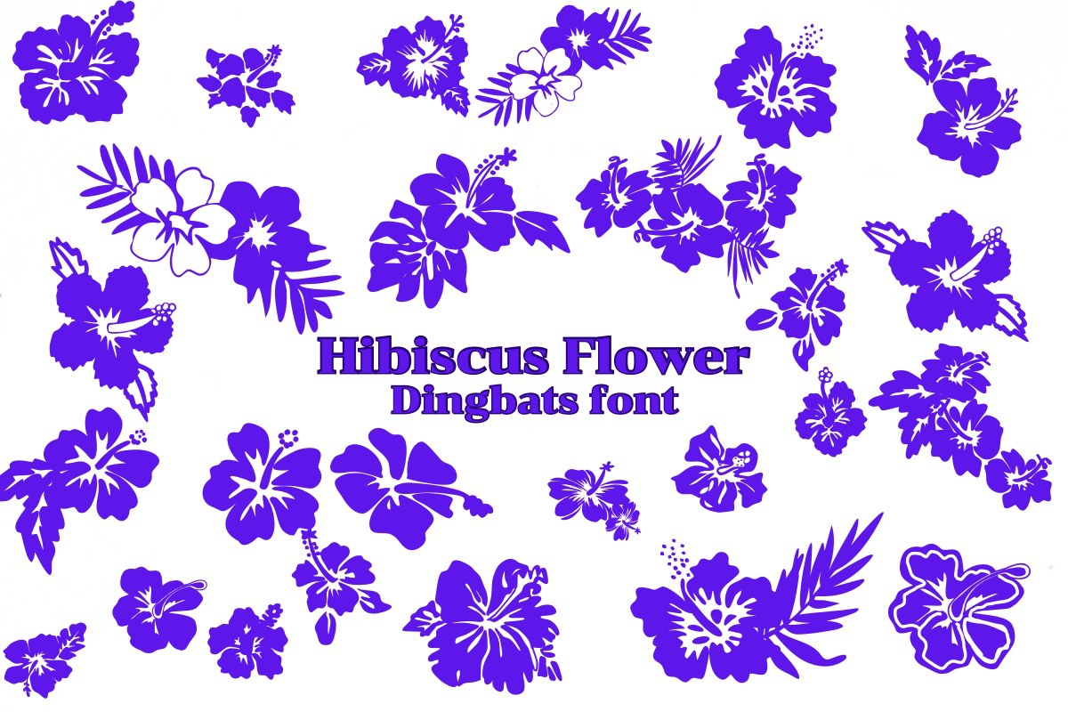 Przykład czcionki Hibiscus Flower