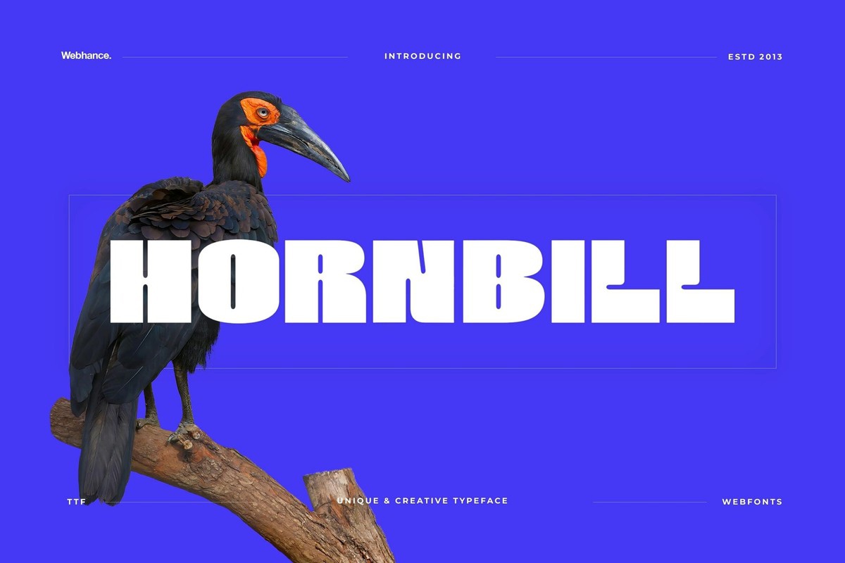 Przykład czcionki Hornbill Display Bold Regular