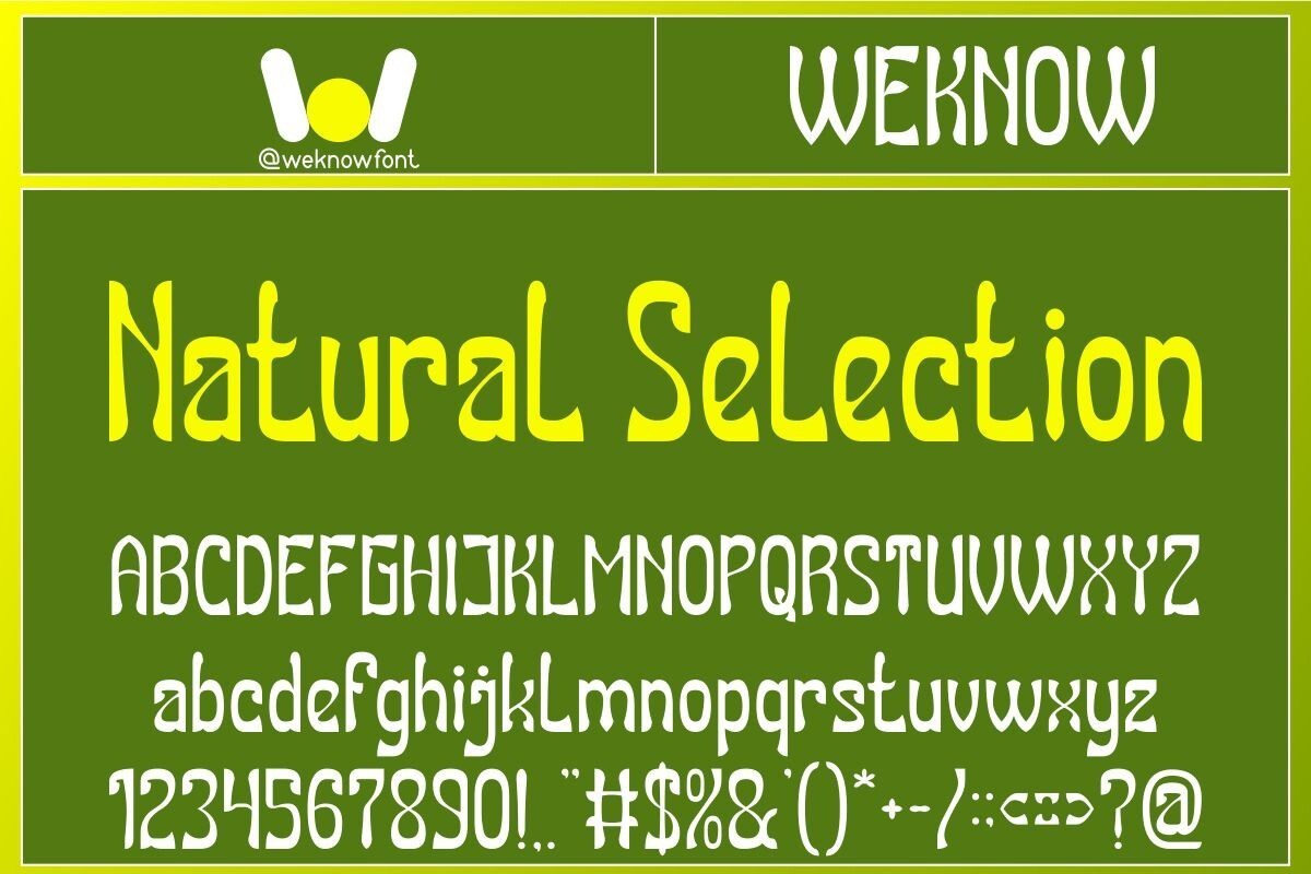 Przykład czcionki Natural Selection Bold Italic