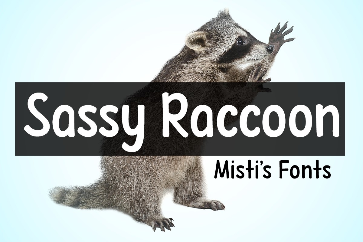 Przykład czcionki Sassy Raccoon