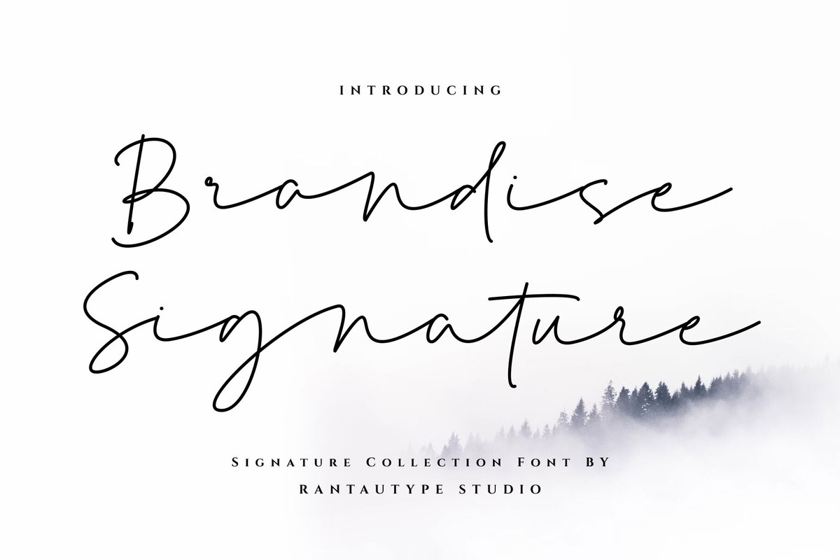 Przykład czcionki Brandise Signature