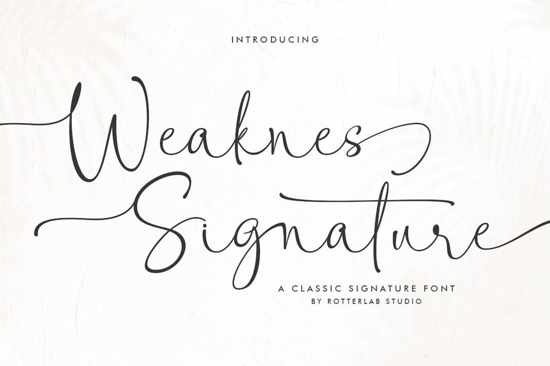 Przykład czcionki Weaknes Signature